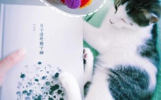 非物质文化遗产猫咪（非遗猫咪绒绣技艺入门教程）
