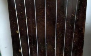 非物质文化遗产琴弦（非遗琴弦适合新手入门吗？）