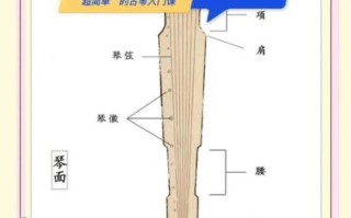 古琴 非物质文化遗产（古琴非遗初学者入门指南）
