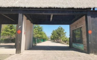 传统荣成非物质文化遗产（荣成海草房非遗技艺在哪看）