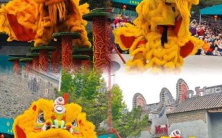 佛山非物质文化遗产狮舞（佛山非遗狮舞入门新手该如何观赏）