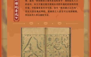 非物质文化遗产书法展出（2025非遗书法展在哪看？时间与预约全攻略）