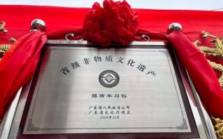 广东代办非物质文化遗产（广东非遗代办流程多久能拿下证书）