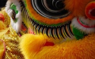 佛山的非物质文化遗产（佛山非物质文化遗产名录全览）