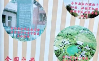 合阳豆腐非物质文化遗产（合阳豆腐非遗技艺怎么申请认定）