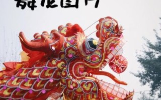 物质非文化遗产舞龙（物质非文化遗产舞龙入门指南）