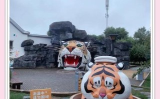 虎林非物质文化遗产（虎林非遗有哪些宝藏项目）