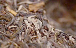 临沧云县非物质文化遗产（云县白莺山茶会新手怎么去）