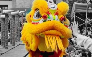 狮岭非物质文化遗产（狮岭非物质文化遗产有哪些）