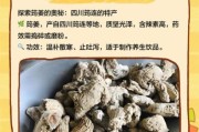 河南姜非物质文化遗产（河南姜传统制作技艺是不是非遗？）
