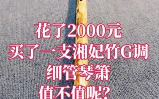 湘妃竹非物质文化遗产（湘妃竹非遗技艺入门指南）