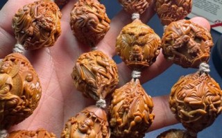 长兴非物质文化遗产核雕（长兴核雕初学者教程）