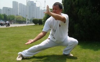 非物质文化遗产鸣鹤拳（鸣鹤拳属于什么武术流派？）