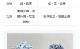 安国非物质文化遗产（安国中药炮制技艺怎么学）