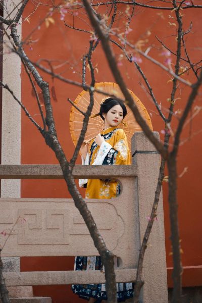 非物质文化遗产簪子（非遗簪子怎么戴？新手入门全攻略）-第2张图片-八三百科