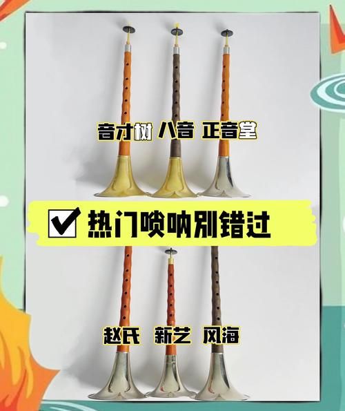 唢呐非物质文化遗产(唢呐非遗文化入门:从零声音到千年回响)-第3张图片-八三百科 唢呐非物质文化遗产(唢呐非遗文化入门:从零声音到千年回响)-第3张图片-八三百科