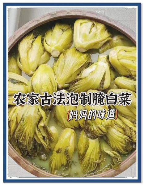 非物质文化遗产滑县白菜(滑县白菜腌制非遗技艺怎么学)-第3张图片-八三百科 非物质文化遗产滑县白菜(滑县白菜腌制非遗技艺怎么学)-第3张图片-八三百科