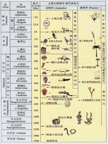地球古气候变迁历史(地球古气候变迁历史怎么讲给小白听)-第3张图片-八三百科 地球古气候变迁历史(地球古气候变迁历史怎么讲给小白听)-第3张图片-八三百科