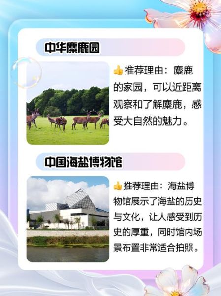 盐城非物质文化遗产目录(盐城非遗有哪些项目值得打卡?)-第2张图片-八三百科 盐城非物质文化遗产目录(盐城非遗有哪些项目值得打卡?)-第2张图片-八三百科