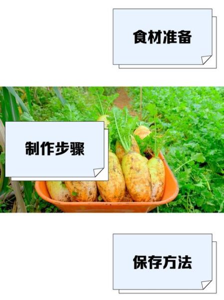 非物质文化遗产萝(非遗萝制作技艺初学者问答)-第1张图片-八三百科 非物质文化遗产萝(非遗萝制作技艺初学者问答)-第1张图片-八三百科