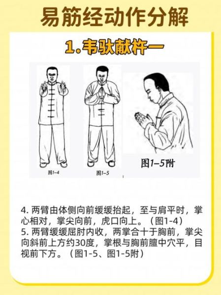 非物质文化遗产 易筋经（非物质文化遗产易筋经自学入门全攻略）-第2张图片-八三百科