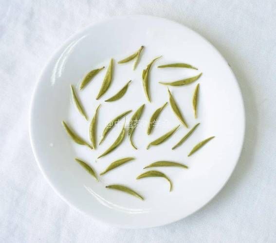 中国非物质文化遗产绿茶(中国非遗绿茶有哪些品种)-第1张图片-八三百科 中国非物质文化遗产绿茶(中国非遗绿茶有哪些品种)-第1张图片-八三百科