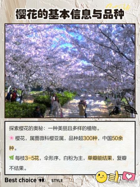 非物质文化遗产 樱花(中国非遗与樱花有什么文化关联)-第3张图片-八三百科 非物质文化遗产 樱花(中国非遗与樱花有什么文化关联)-第3张图片-八三百科