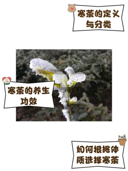 散寒药茶非物质文化遗产（散寒药茶制作方法哪里学最正宗）-第1张图片-八三百科