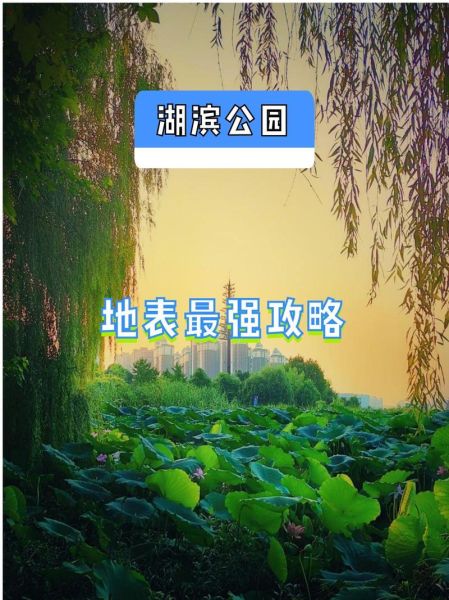 湖滨非物质文化遗产(湖滨非遗旅游打卡点在哪新手必看)-第1张图片-八三百科 湖滨非物质文化遗产(湖滨非遗旅游打卡点在哪新手必看)-第1张图片-八三百科