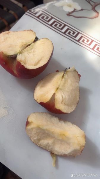 苹果非物质文化遗产视频（苹果非遗文化纪录片在哪儿看）-第1张图片-八三百科