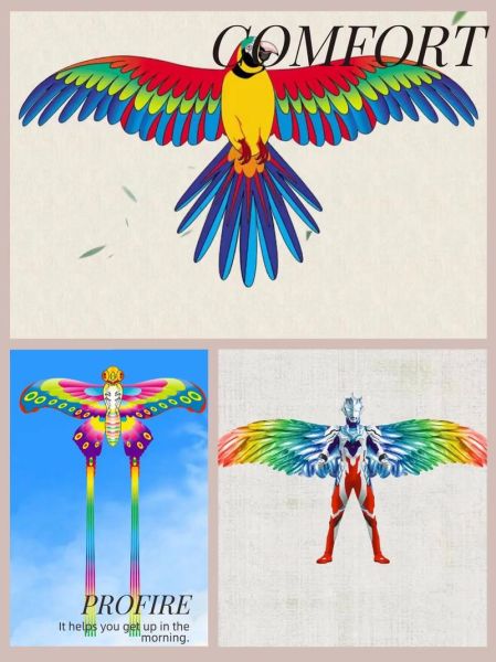 非物质文化遗产老鹰（非遗老鹰风筝制作技艺入门指南）-第2张图片-八三百科