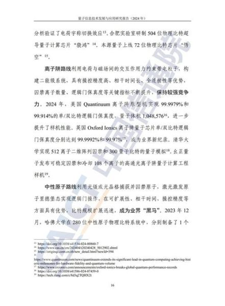 量子计算领域技术报告（量子计算技术报告怎么看懂）-第3张图片-八三百科