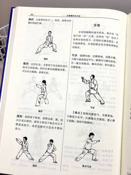 太极拳非物质文化遗产（太极拳非遗入门指南）-第1张图片-八三百科