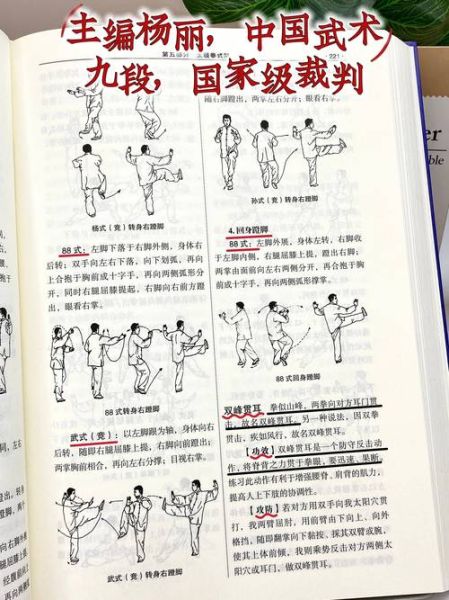 太极拳非物质文化遗产（太极拳非遗入门指南）-第3张图片-八三百科