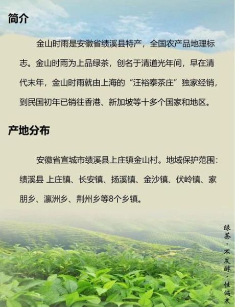 金山时雨非物质文化遗产（金山时雨非遗技艺是什么茶？）-第3张图片-八三百科