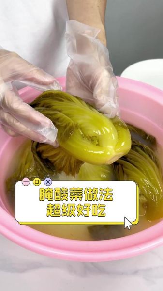 腌酸菜非物质文化遗产（腌酸菜非遗申请流程新手教程）-第2张图片-八三百科