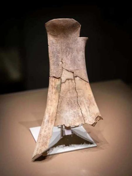 安阳非物质文化遗产（安阳非物质文化遗产有哪些）-第3张图片-八三百科