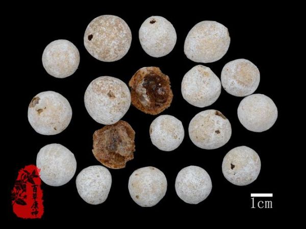 阿胶珠非物质文化遗产（阿胶珠非遗工艺怎么入门）-第2张图片-八三百科