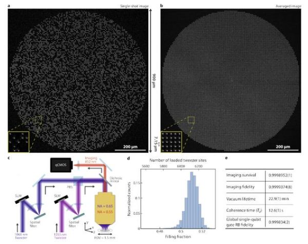光镊技术用于量子计算机(光镊技术量子计算初学者教程)-第1张图片-八三百科 光镊技术用于量子计算机(光镊技术量子计算初学者教程)-第1张图片-八三百科