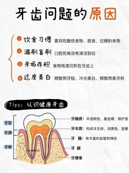 非物质文化遗产口腔(非物质文化遗产口腔健康技艺怎么入门)-第3张图片-八三百科 非物质文化遗产口腔(非物质文化遗产口腔健康技艺怎么入门)-第3张图片-八三百科