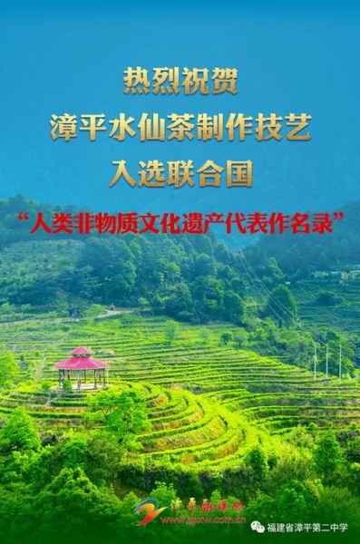 漳平非物质文化遗产名录（漳平非遗名录有哪些）-第1张图片-八三百科