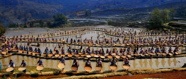 梯田非物质文化遗产（梯田非物质文化遗产有哪些项目）-第3张图片-八三百科