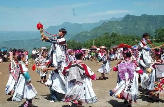 普定苗族非物质文化遗产（普定苗族芦笙舞传承现状）-第3张图片-八三百科