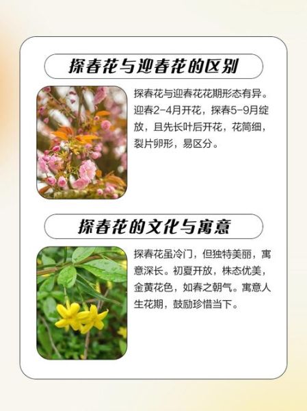 非物质文化遗产探花（民间探花技艺入门指南）-第1张图片-八三百科