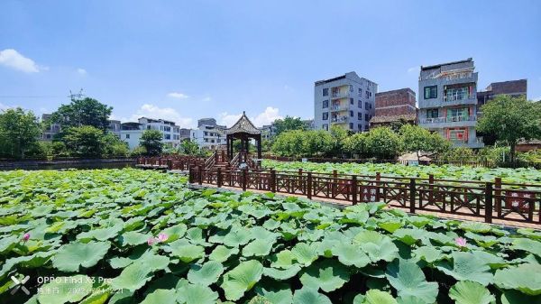 泗洲村非物质文化遗产（泗洲村非物质文化遗产有哪些）-第2张图片-八三百科