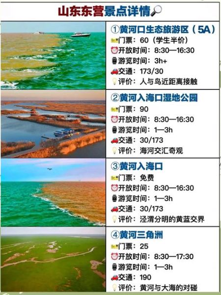 东营非物质文化遗产(东营非遗一日游路线怎么走?)-第2张图片-八三百科 东营非物质文化遗产(东营非遗一日游路线怎么走?)-第2张图片-八三百科