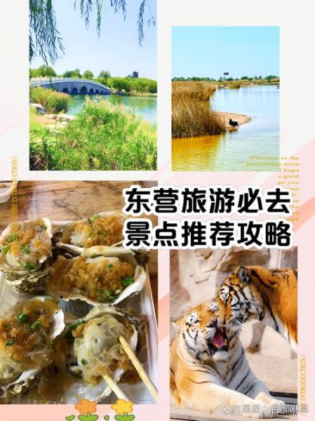 东营非物质文化遗产(东营非遗一日游路线怎么走?)-第3张图片-八三百科 东营非物质文化遗产(东营非遗一日游路线怎么走?)-第3张图片-八三百科