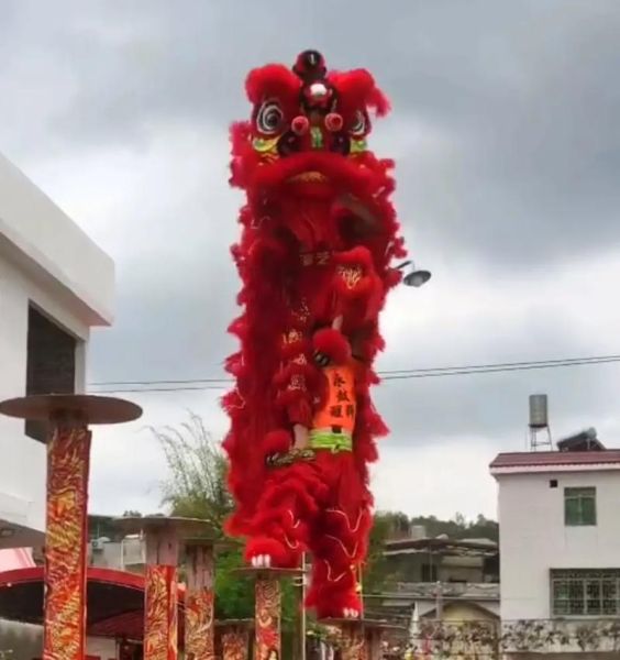 郑州舞狮非物质文化遗产(郑州非遗舞狮在哪里看最正宗)-第1张图片-八三百科 郑州舞狮非物质文化遗产(郑州非遗舞狮在哪里看最正宗)-第1张图片-八三百科