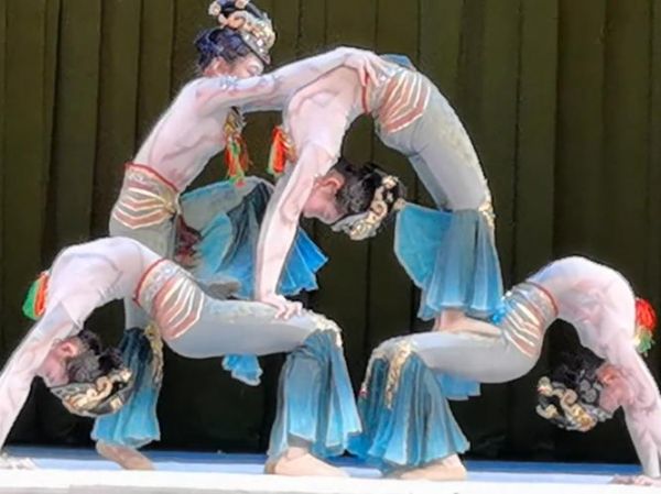 非物质文化遗产柔术（非物质文化遗产柔术初学者怎么学）-第1张图片-八三百科