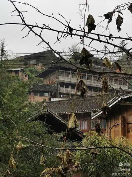 非物质文化遗产苗岭(苗岭非物质文化遗产有哪些)-第2张图片-八三百科 非物质文化遗产苗岭(苗岭非物质文化遗产有哪些)-第2张图片-八三百科